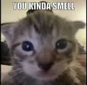 You kinda smell