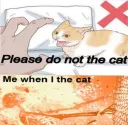 Please do not the cat