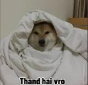 THAND HAI VRO 