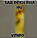 Sab dekh raha hoon vmro