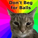 Don't Beg for Balls