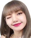 lisa wink