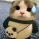 cat sweat etheral