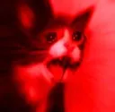 nya