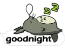 totoro goodnight