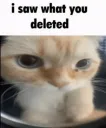 I Saw That