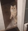 I'll Leave Now