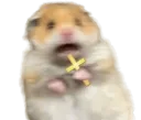 HamsterScared