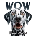 Wow