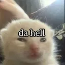 Da hell