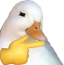 That One Duck Humming....Hmmmm