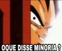minoria