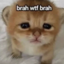 wtf ggegirly