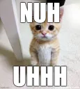 nuh uhhh