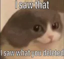 I saw that