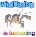 what the hap is fuckening???