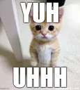 yuh uhhh