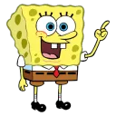 sponge