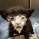 Erlend .gg/styrexbunker