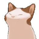Pop Cat