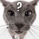 PRXcatconfusion | .gg/prixony