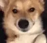 wink