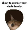 Murder Cat