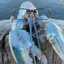 Blue Lobster Nerd