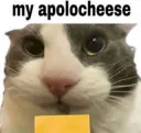 my apolocheese