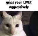 Grips your liver aggressively