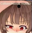 Hablas mucho 