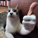 Thumbs up