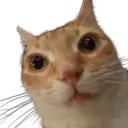 miao
