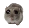 ma