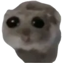 :pleadingface:
