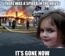:spider: