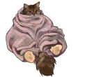 Kitty Cozy