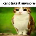 I Can't Take It Anymore