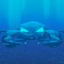 Crabe Océan