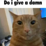 do i give a damn