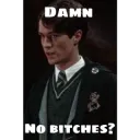 Damn No Bitches