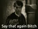 Say That Again Bitch