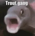Trout Gang