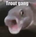 Trout Gang