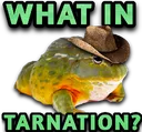 what_in_tarnation