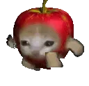 cat apple