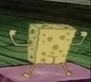 spongussy