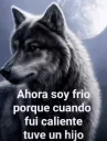 lobo sabio