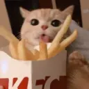 catKFC