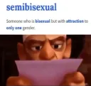 Semibisexual
